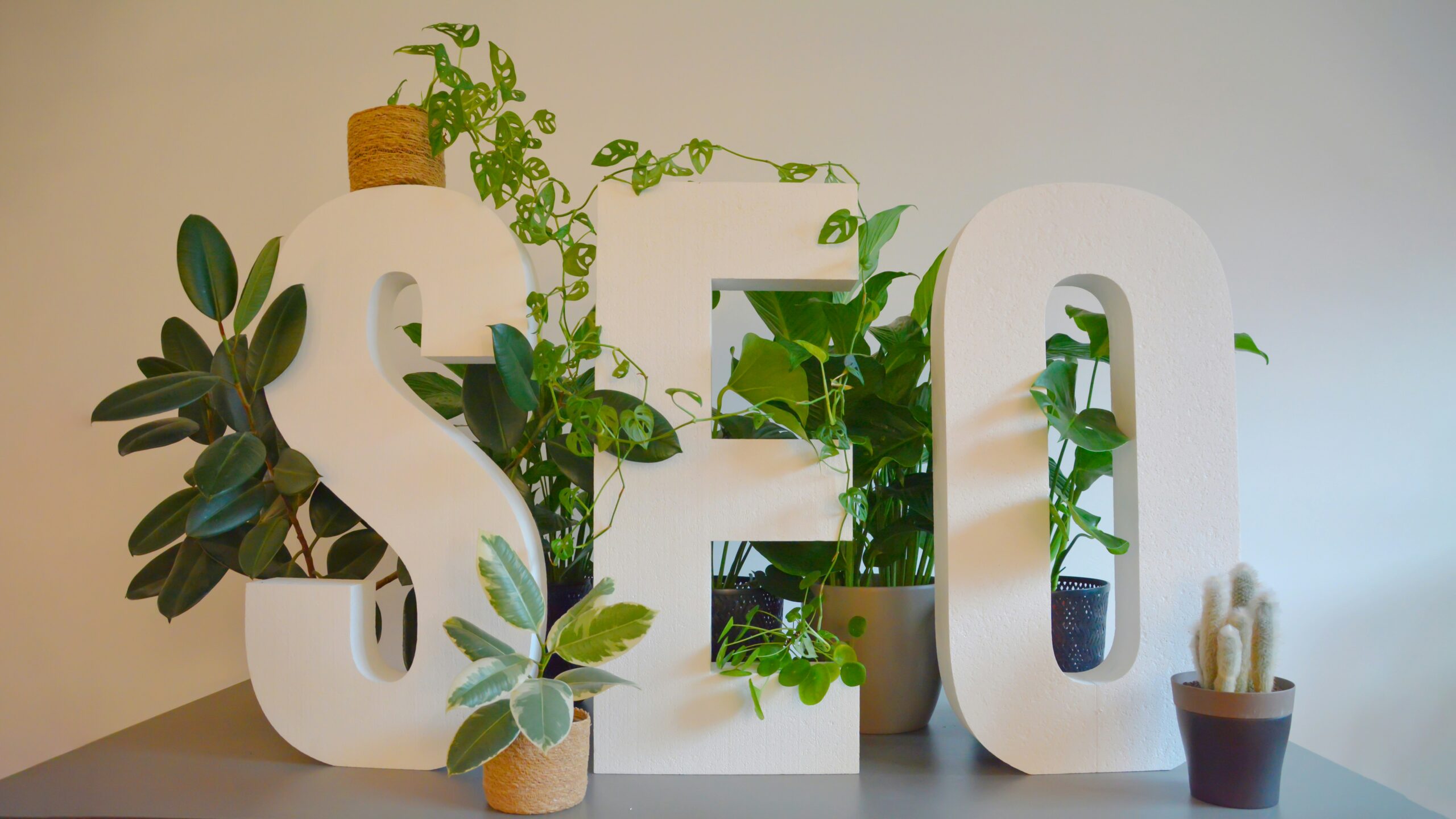 SEO with plants scaled